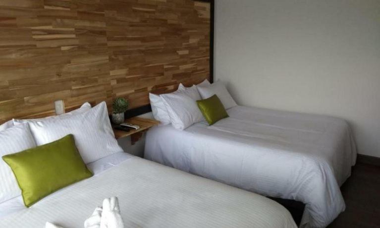 Sisga Hotel Boutique Choconta Kültér fotó